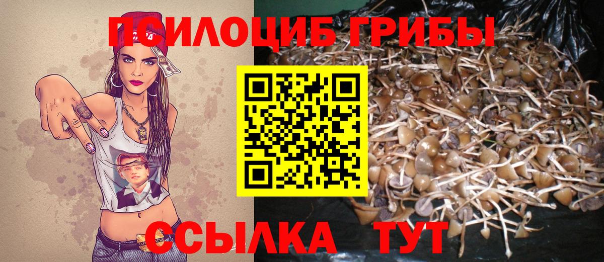 Псилоцибиновые грибы Cubensis  Галлюциногенные грибы GOLDEN TEACHER  Гудермес  Вход с VPN 